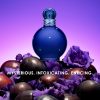 Britney Spears Midnight Fantasy Eau De Parfum Spray for Women