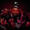 Christian Dior Hypnotic Poison Eue De Parfum For Women