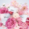 Miss Dior Perfume for Women