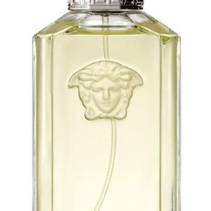 The Dreamer Versace cologne - a fragrance for men