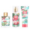 Viva Luck Girl 3 Pcs
