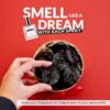 Licorice 3.4 oz Cologne