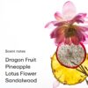 PHLUR Dragon Fruit