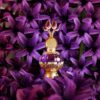 Purple Musk