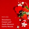 Strawberry Letter EDP