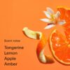 Tangerine Boy EDP